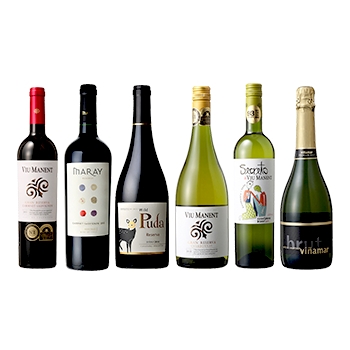 【セット】厳選チリ赤･白･泡ワイン6本セット / オリジナル ◎(Red, white, bubble wine six bottle set ◎)